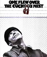 One flew over the cuckoo s nest /    